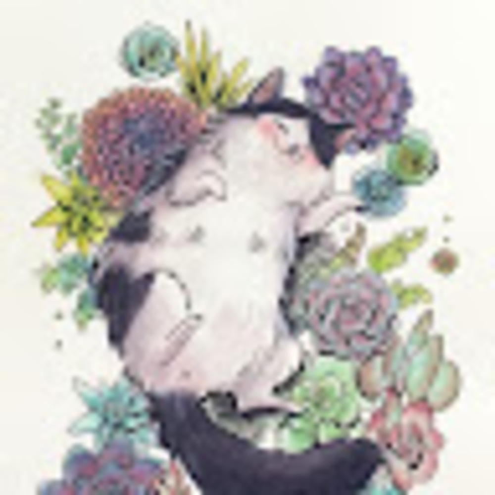 Meet your Posher, Jed